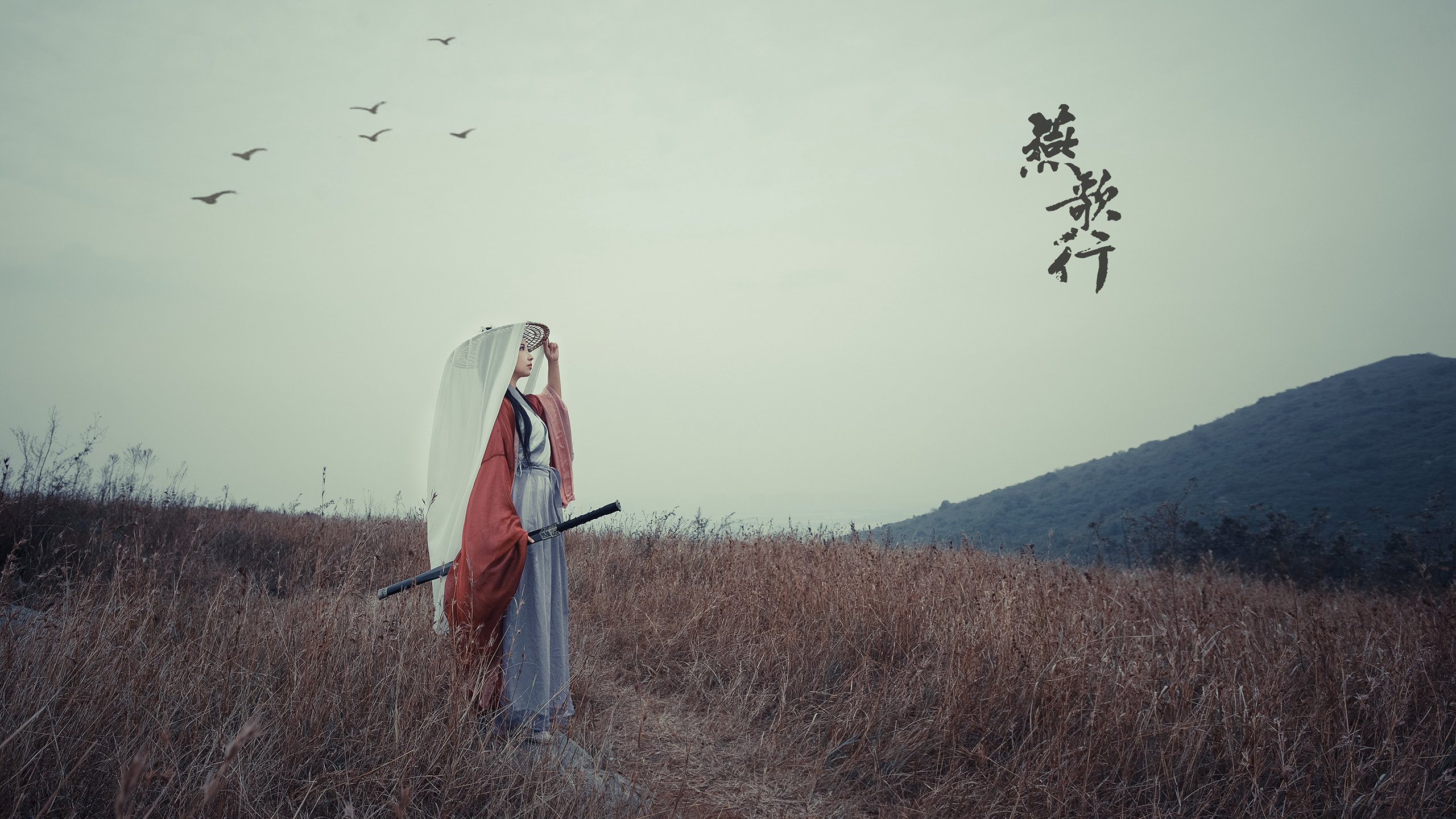 辽宁跨越山海，克莱一剑封喉，这场逆转为何让篮球世界屏息？