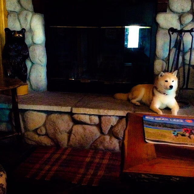 独步丹佛，布克无解进攻撕裂爵士防线