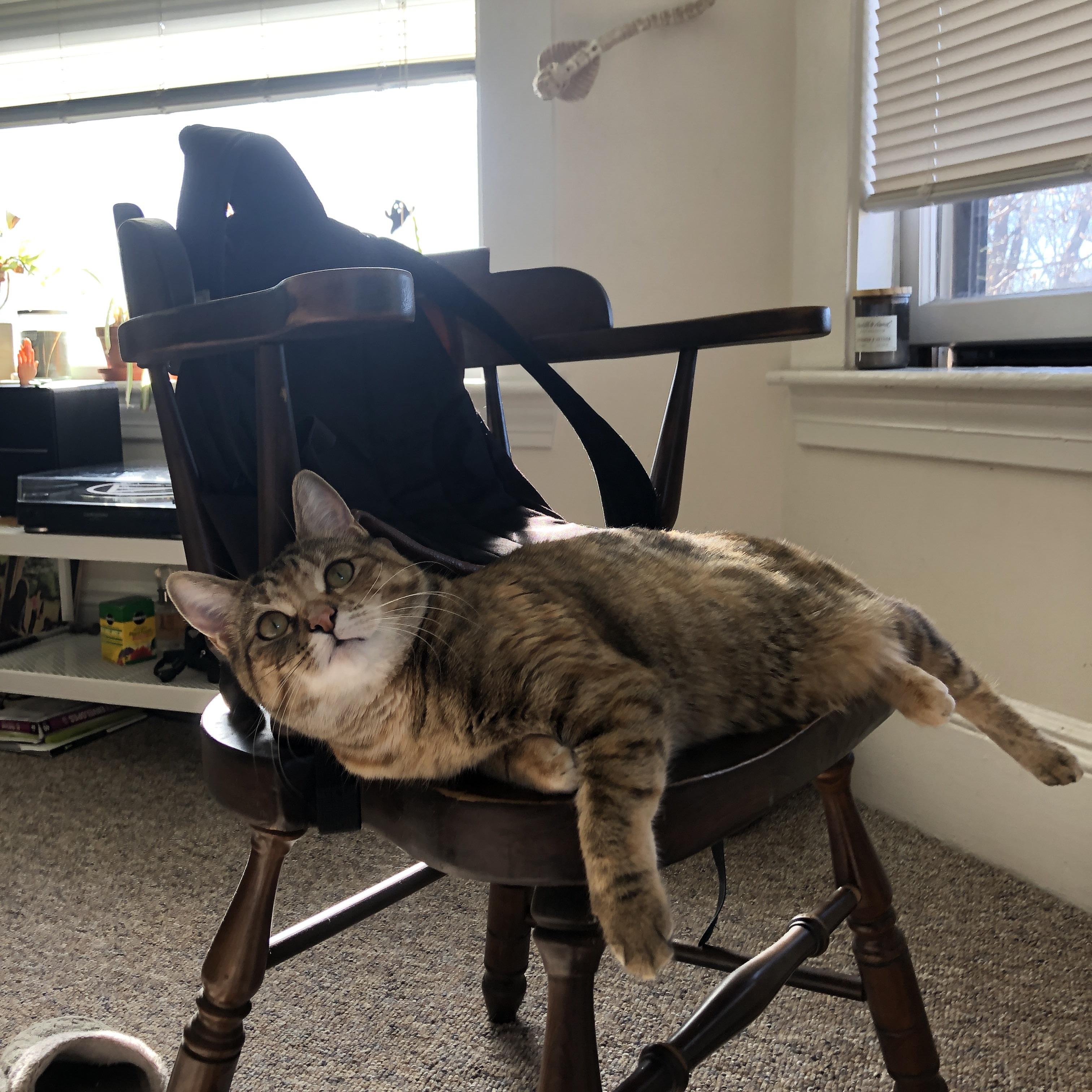 ‘天堑’的通途，杰伦·格林攻防统治力诠释勇士胜热火真谛