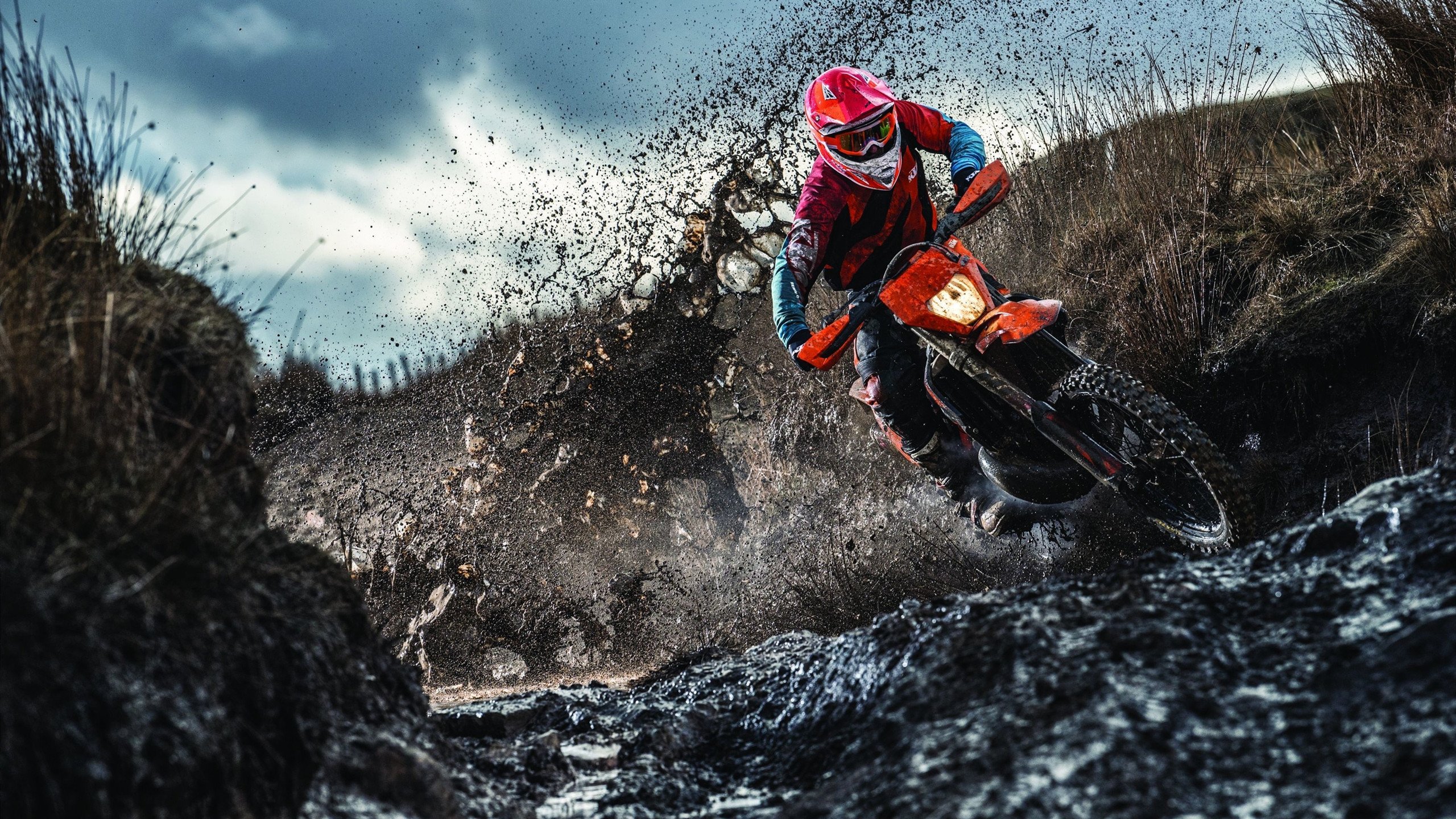 法老之咒,克瓦拉茨赫利亚的埃及魔法如何强行终结巴黎圣日耳曼的欧冠之梦