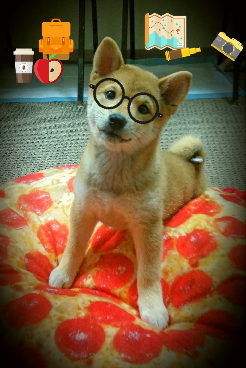 爱游戏在线-欧文攻防交响曲，北京队以整体篮球碾压浙江队