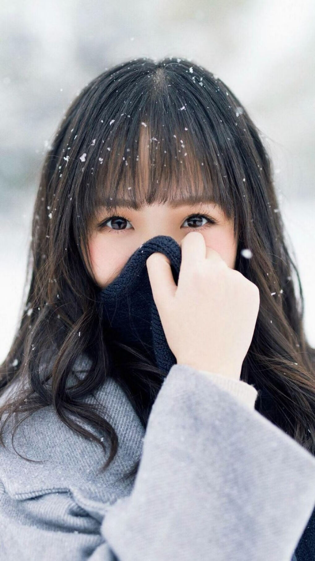 双重赛道上的主宰,北京队的团队狂飙与哈利伯顿的速度革命