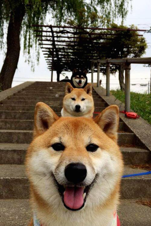 老鹰奇才之战黯然失色 杜兰特赛后评分拉满背后是历史最全能的证明