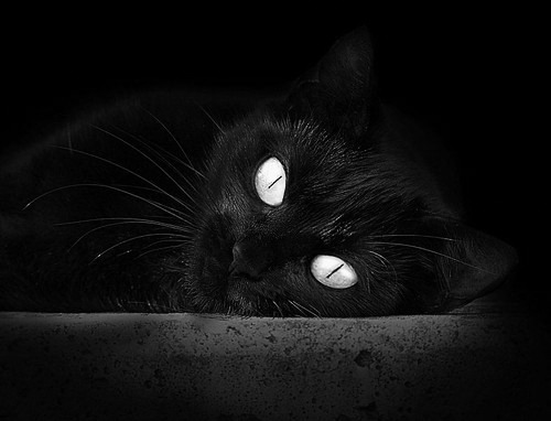 当季后赛变成绿茵场，NBA的拜仁式打穿战术如何撕裂对手防线