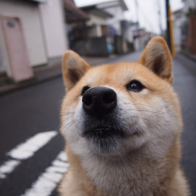 爱游戏娱乐-苏格兰之夜与伦敦之光，当唯一性在绿茵场上同时降临