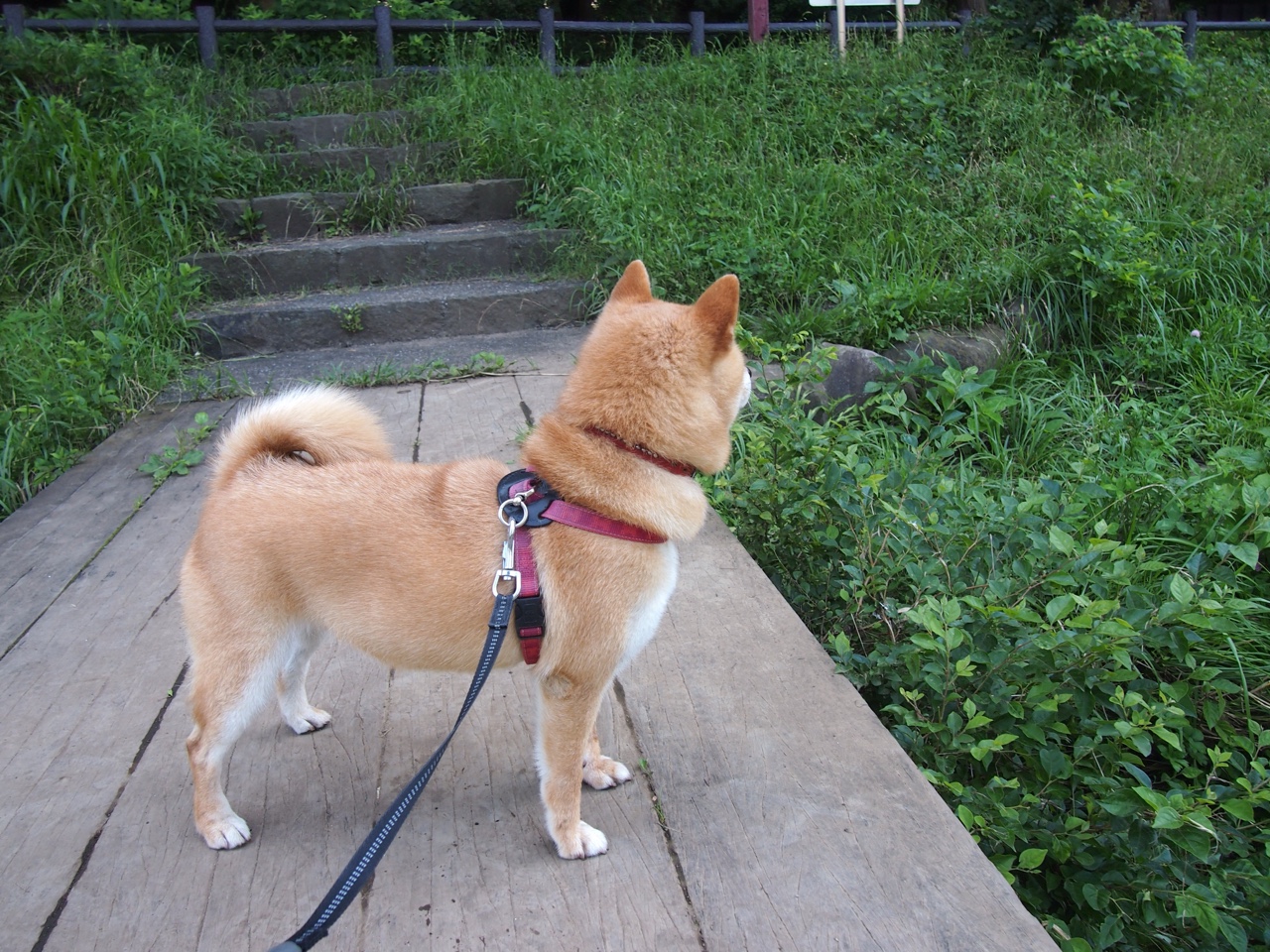 硬仗之王加冕王冠!贝蒂斯写就最独特城市传奇