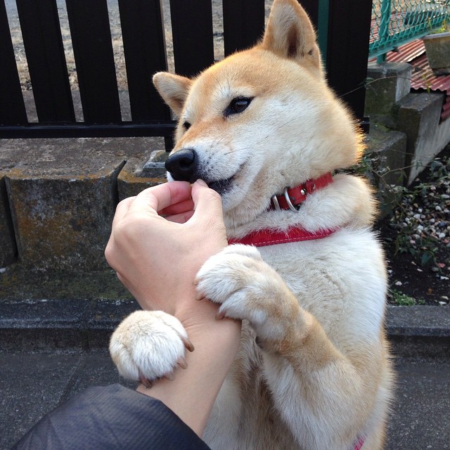 爱游戏入口-德甲争冠战之夜，一个传说如何诞生，德布劳内的孤注一掷