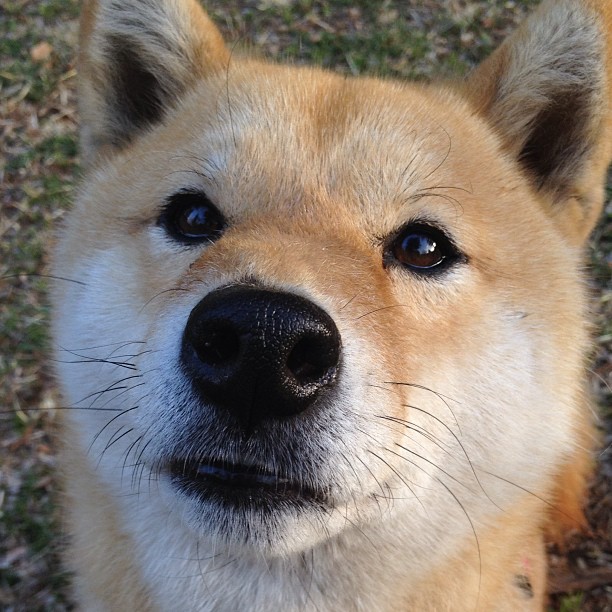 午夜救赎，加克波用一秒定义永恒的足球瞬间