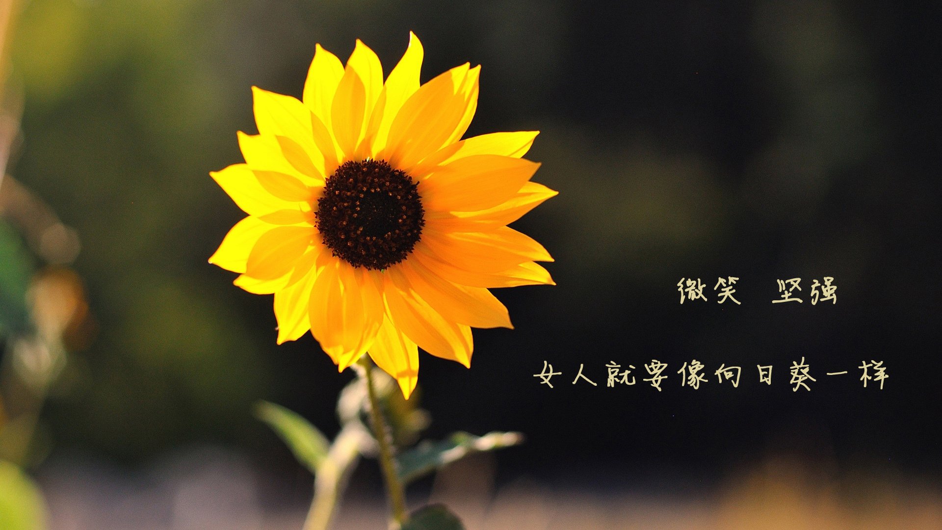 爱游戏官网-神灯与神扑！巴萨争冠战惊险战胜阿尔梅里亚，门迪展现扭转乾坤的巨星价值