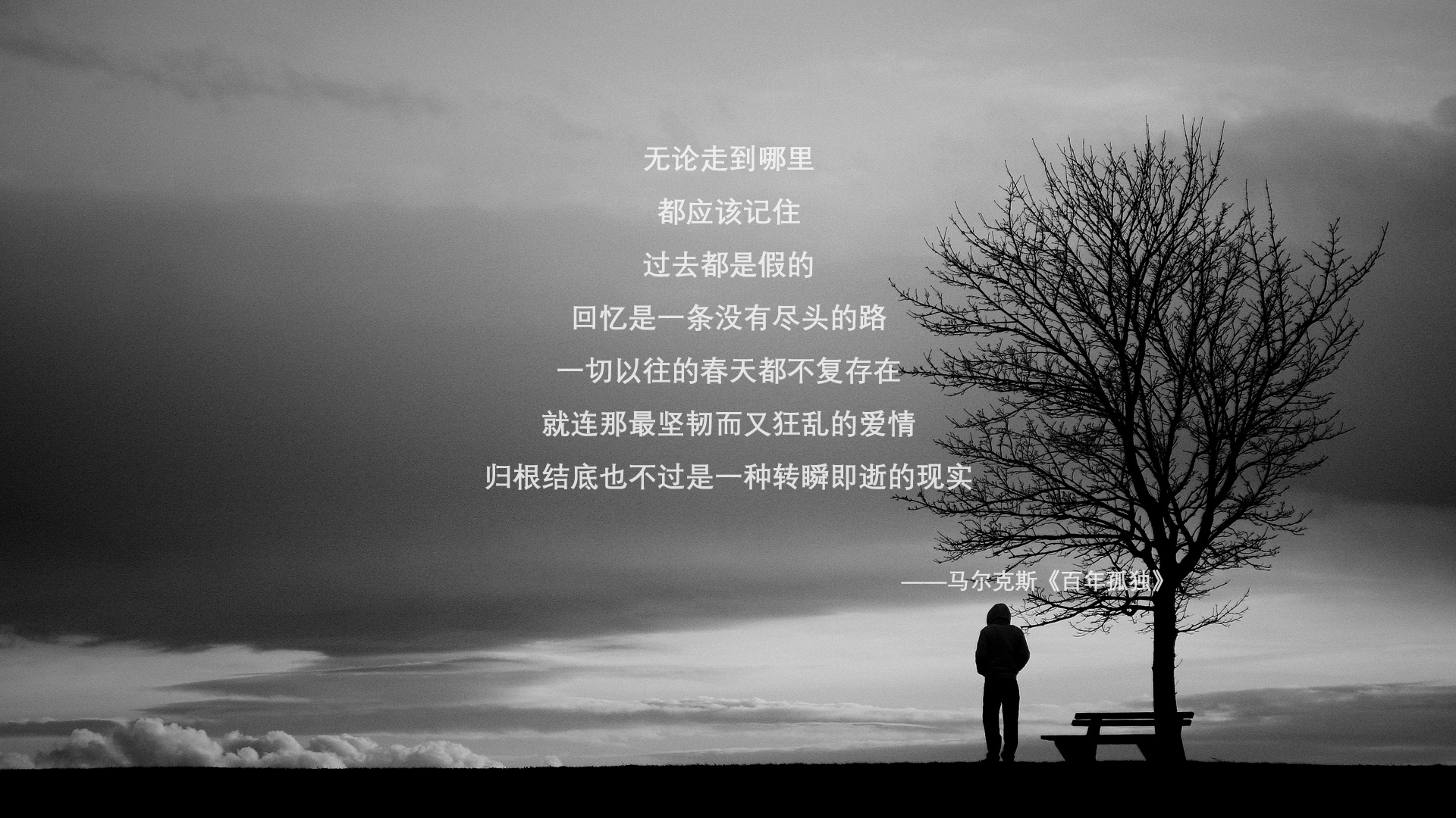 冷门与铁血,捷克如何用巨人战术在美加墨世界杯焦点战中击溃越南,卢卡库一剑封喉