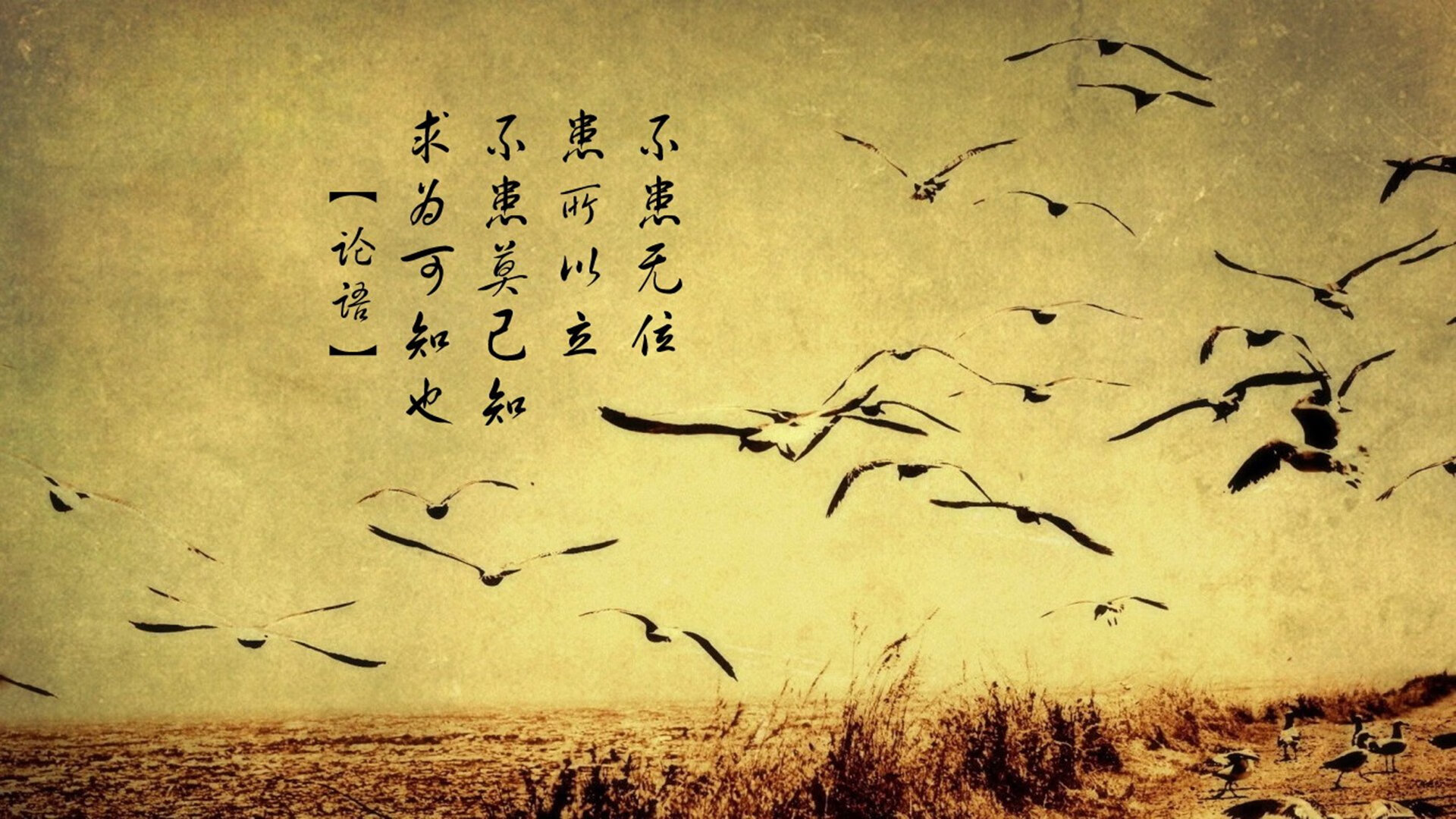 爱游戏官方-节奏之王的加冕，布罗佐维奇导演逆转绝杀，印度在2026世界杯G组焦点战击碎挪威童话