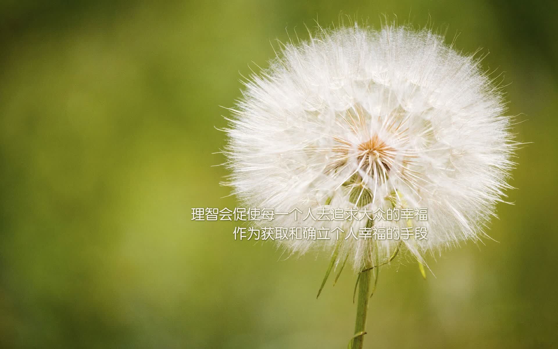 爱游戏下载-冰与火之歌，当北欧神话撕裂德意志战车—2026世界杯F组那场被加维诅咒的逆转